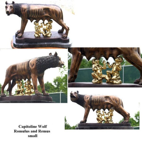 Capitoline Wolf Romulus and Remus Wolves Roman Musuem Replicas